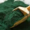 Spirulina: como essa superfood atua na sua saúde e bem-estar